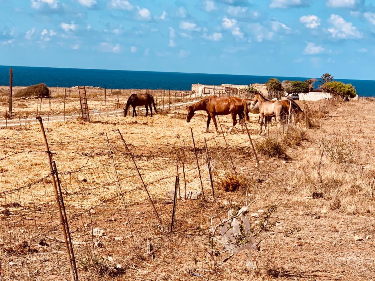 Appartamento Il Pomodoro San Vito Lo Capo Eksteriør billede